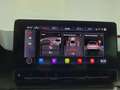 SEAT Leon SP 1,0 eTSI ACT Xcellence DSG, AHK, Panorama, A... Rot - thumbnail 14