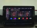 SEAT Leon SP 1,0 eTSI ACT Xcellence DSG, AHK, Panorama, A... Rot - thumbnail 18