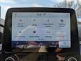 Ford Fiesta 1.0 Titanium X LED*AHK*ACC*NAV*SHZ*PDC*BLIS Blu/Azzurro - thumbnail 14