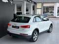 Audi Q3 2.0 tdi 140cv S-Line Led Navi Cruise Bianco - thumbnail 6