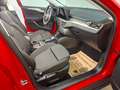 Ford Focus Kombi 1.5 EcoBlue Titanium Aut. ACC, Winter-Paket Rot - thumbnail 9