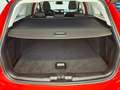Ford Focus Kombi 1.5 EcoBlue Titanium Aut. ACC, Winter-Paket Rot - thumbnail 12