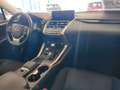 Lexus NX 300 300h Business 2WD Blanco - thumbnail 7