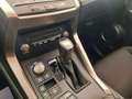 Lexus NX 300 300h Business 2WD Blanco - thumbnail 19
