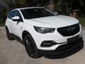 Opel Grandland X 120 Jahre *Navi,TÜV neu,KD neu,TOP* Weiß - thumbnail 1