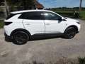Opel Grandland X 120 Jahre *Navi,TÜV neu,KD neu,TOP* Weiß - thumbnail 8
