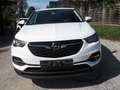Opel Grandland X 120 Jahre *Navi,TÜV neu,KD neu,TOP* Weiß - thumbnail 2
