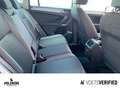 Volkswagen Tiguan 2.0 TDI Active DSG PANO+MATRIX+STHZ+NAVI Gris - thumbnail 15