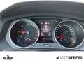 Volkswagen Tiguan 2.0 TDI Active DSG PANO+MATRIX+STHZ+NAVI Gris - thumbnail 13
