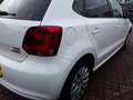 Volkswagen Polo 1.2 TSI 90PK 5D BMT Comfortline Wit - thumbnail 6
