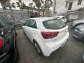 Kia Rio 1.4 CRDi 5p ACTIVE Bianco - thumbnail 4