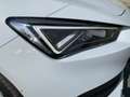 SEAT Leon ST 2.0 TDI DSG X-CELLENCE LED+NAVI+PANO+ACC Weiß - thumbnail 15