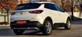 Opel Grandland X Grandland X 1,2 Turbo Direct Injection Innovation Weiß - thumbnail 4