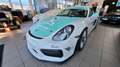 Porsche Cayman GT4 Rennsportfahrzeug Mwst.!!! Weiß - thumbnail 3