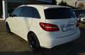 Mercedes-Benz B 180 7G-DCT S-Tourer Style LED/Navi/SH/PDC/Alu 16 Bianco - thumbnail 14