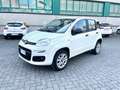 Fiat Panda Panda 0.9 Natural Power Lounge 70cv km 7.800!!!! Blanc - thumbnail 1