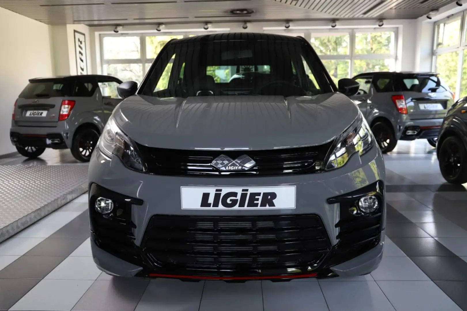 Ligier JS 60 Sport Ultimate +Climatizzatore +Servosterzo DCI E5 Gris - 2
