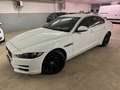 Jaguar XE 2.0 D 180 CV aut. Pure Weiß - thumbnail 3
