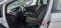 Ford Fiesta Trend Weiß - thumbnail 14