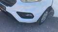 Ford Transit Custom Kasten 2,0 TDCi L1H1 340 Trend Zahnriemen neu Weiß - thumbnail 16