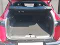 Alfa Romeo Junior Ibrida MY26 1.2 145PS Hybrid eDCT6 Rot - thumbnail 12
