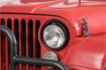 Oldtimer Willys M38A1 Rot - thumbnail 16