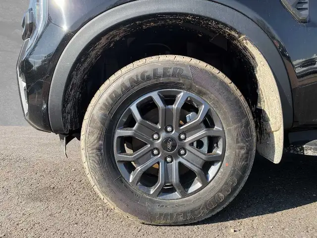 Ford Ranger view 9