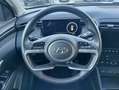 Hyundai TUCSON 1.6 t-gdi 48V Exellence 2wd imt Vert - thumbnail 18