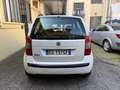 Fiat Idea 1.4 Dynamic Gpl - thumbnail 5