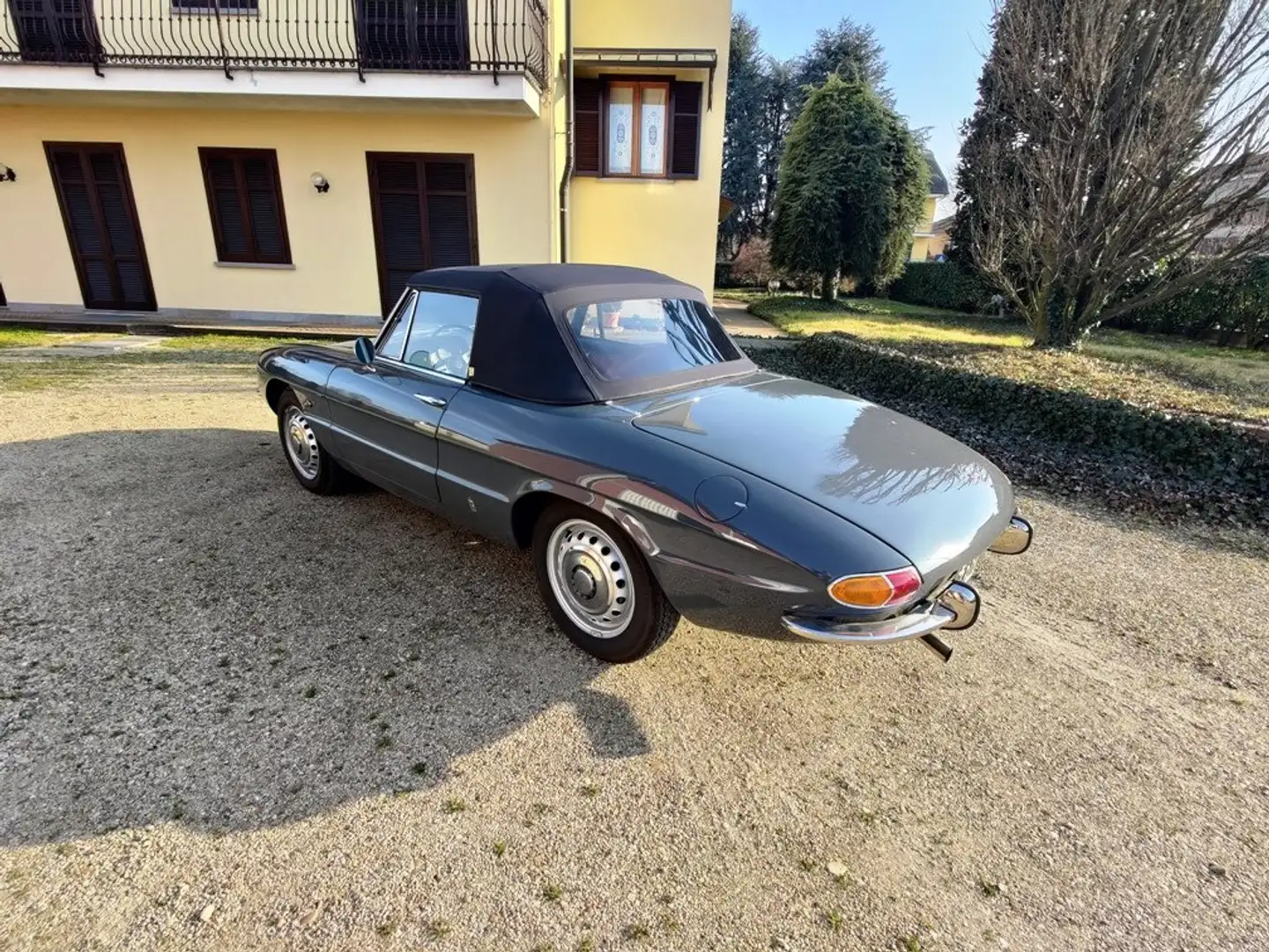 Alfa Romeo Spider 1600 Duetto Grijs - 2
