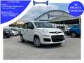 Fiat Panda 1.0 Hybrid 70CV + Pack City / IN PRONTA CONSEGNA Wit - thumbnail 1