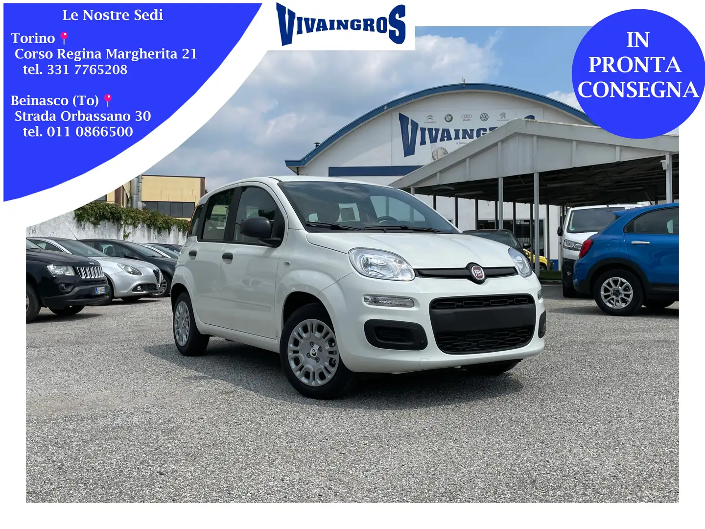 Fiat Panda 1.0 Hybrid 70CV + Pack City / IN PRONTA CONSEGNA Wit - 1