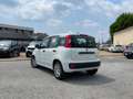 Fiat Panda 1.0 Hybrid 70CV + Pack City / IN PRONTA CONSEGNA Wit - thumbnail 3