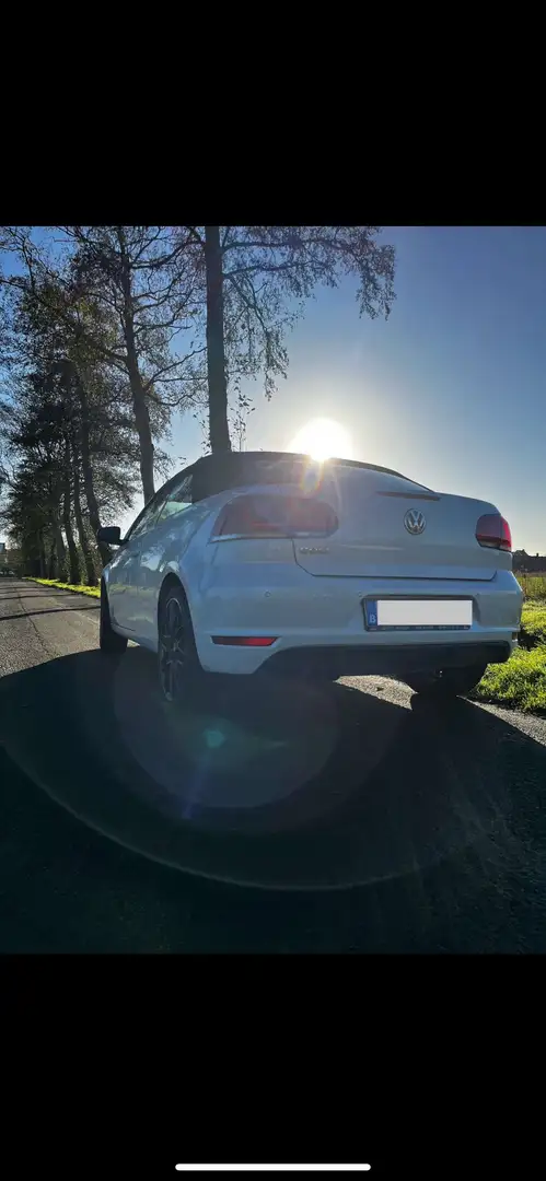 Volkswagen Golf Cabriolet Cabrio 1.4 TSI Exclusive - 2