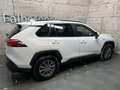 Toyota RAV 4 RAV4 2,5 Hybrid 4x2 Active + Winterpaket Weiß - thumbnail 5