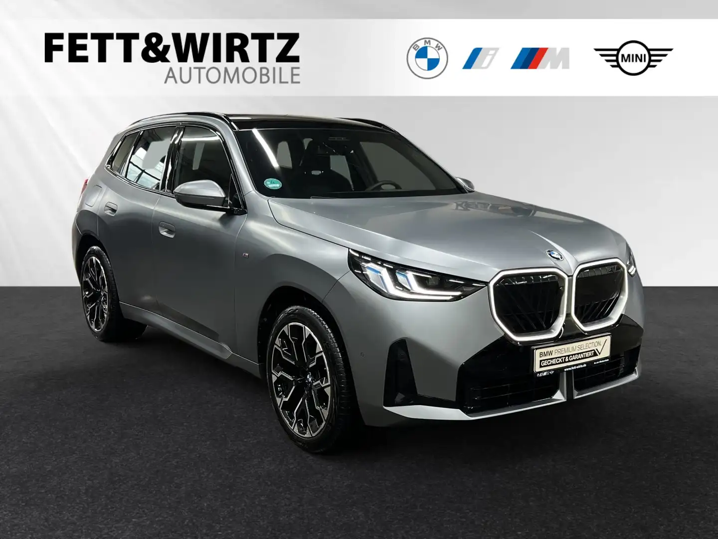 BMW X3 20d xDrive *Individual Frozen Pure Grey*|M Sport|P Grau - 1