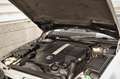 Mercedes-Benz SL 500 Formula One Edition 1 of 20! Collectors Car Silber - thumbnail 38