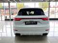 Porsche Cayenne E-Hybrid Platinum Edition Aut. Blanco - thumbnail 8