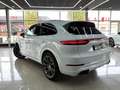 Porsche Cayenne E-Hybrid Platinum Edition Aut. Blanco - thumbnail 14