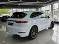 Porsche Cayenne E-Hybrid Platinum Edition Aut. Blanco - thumbnail 16