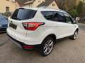 Ford Kuga Kuga Titanium 2.0 TDCI 4x4*AHK*Xenon*Navi*Kamera Weiß - thumbnail 5