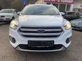 Ford Kuga Kuga Titanium 2.0 TDCI 4x4*AHK*Xenon*Navi*Kamera Weiß - thumbnail 4