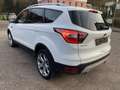 Ford Kuga Kuga Titanium 2.0 TDCI 4x4*AHK*Xenon*Navi*Kamera Weiß - thumbnail 6
