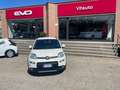 Fiat Panda Panda III 2021 1.0 firefly hybrid City Life s Blanc - thumbnail 1