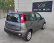 Fiat Panda Panda III 1.0 firefly hybrid s&s 70cv 5 posti Grau - thumbnail 4