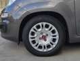 Fiat Panda Panda III 1.0 firefly hybrid s&s 70cv 5 posti Grau - thumbnail 15