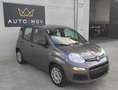 Fiat Panda Panda III 1.0 firefly hybrid s&s 70cv 5 posti Grau - thumbnail 3