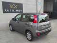 Fiat Panda Panda III 1.0 firefly hybrid s&s 70cv 5 posti Grau - thumbnail 6