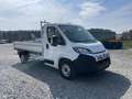 Fiat Ducato Dreiseitenkipper L2+ (Dreiseitenkipper) MultiJe... Weiß - thumbnail 7