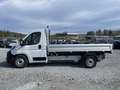 Fiat Ducato Dreiseitenkipper L2+ (Dreiseitenkipper) MultiJe... Weiß - thumbnail 2